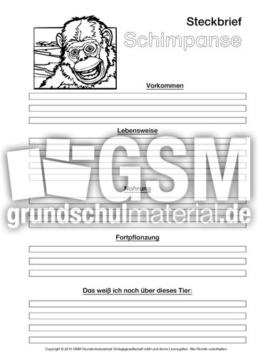 Schimpanse-Steckbriefvorlage-sw-3.pdf